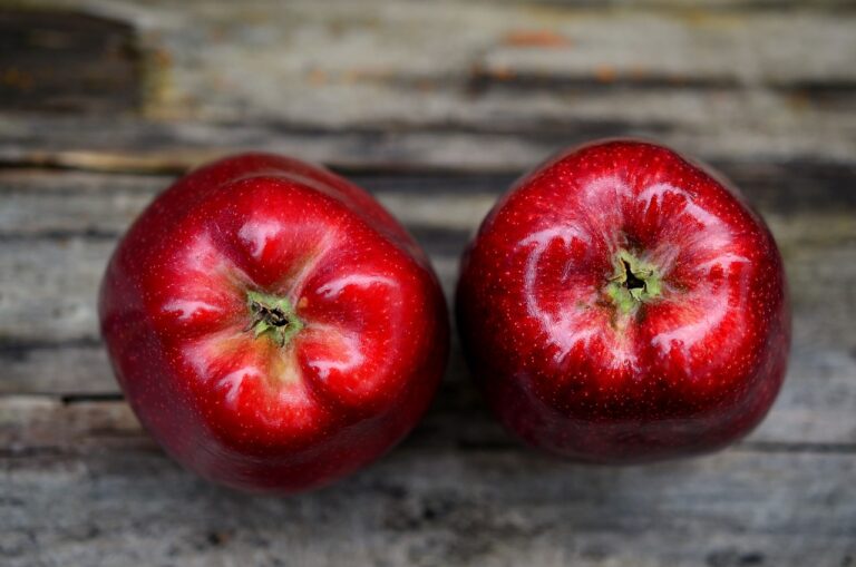 Investigating the Impact of Fast Food on Indigenous Food Systems