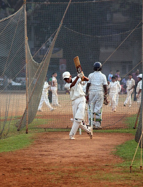 Cricket Sponsorship Strategies: Maximizing Brand Visibility and Engagement