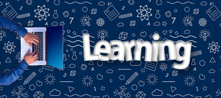 Exploring the Integration of Learning Management Systems with Peer Mentorship Programs